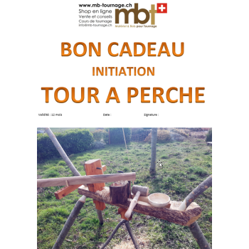 Bon cadeau initiation tour à perche